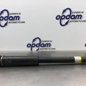 Koop Online Schokdemper SUZUKI SWIFT V (AZ)