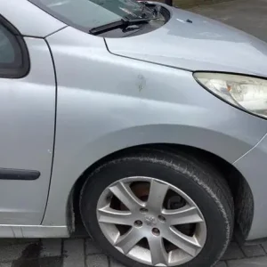 In De Mode Spatbord PEUGEOT 207 CC (WD_)