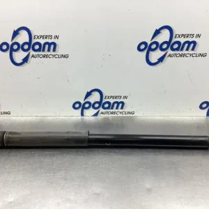 Groothandel Schokdemper SUZUKI SX4 (EY, GY)