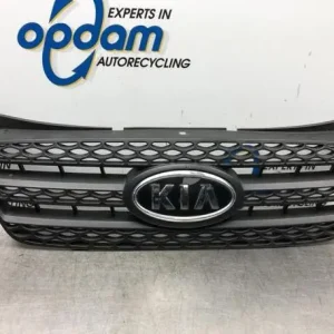 Trendy Radiateurgrille KIA PICANTO (SA)