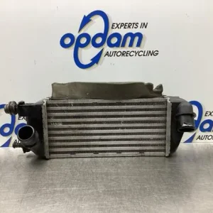 Aanbieding Interkoeler tussenkoeler FIAT 500 (312_), FIAT 500 C (312_)