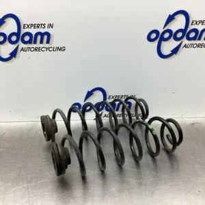 Chassisveer SKODA FABIA II Combi (545), SKODA ROOMSTER Praktik (5J), SKODA ROOMSTER (5J7) Exclusief