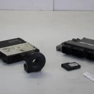 Bulkbestelling Regeleenheid motoregeling RENAULT TWINGO II (CN0_)