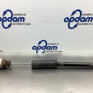 Schokdemper FORD FIESTA V (JH_, JD_) Shop Nu