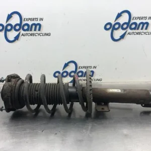 Veerpoot SKODA FABIA I (6Y2) Beperkt Aanbod