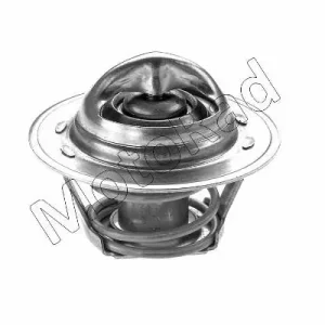 Thermostaat Motorad 202-82K Meest Verkocht