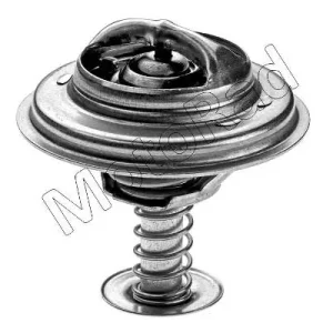 Alleen Vandaag Thermostaat Motorad 269-82K