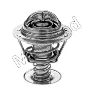 Thermostaat Motorad 342-82 Populair