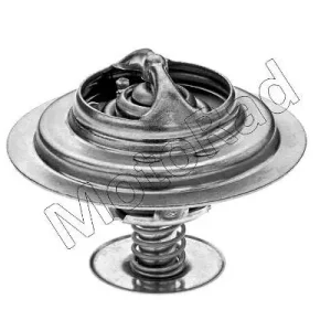 Thermostaat Motorad 372-82K Nu Kopen