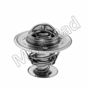 Wereldwijde Verzending Thermostaat Motorad 555-82K