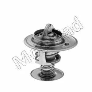 Thermostaat Motorad 564-77K Betaalbaar