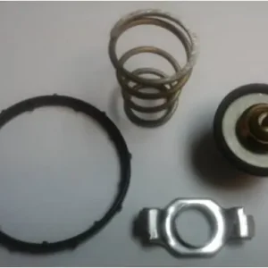 Thermostaat Motorad 724-95K Alleen Vandaag