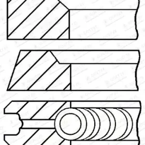 Uitverkoop Zuigerveren Goetze Engine 08-253300-00