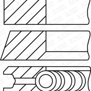 Koop Online Zuigerveren Goetze Engine 08-430307-00