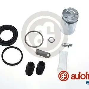 Remklauw revisie Autofren Seinsa D42291C Must-Have