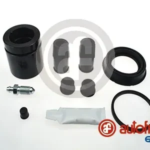 Ambachtelijk Remklauw revisie Autofren Seinsa D42316C