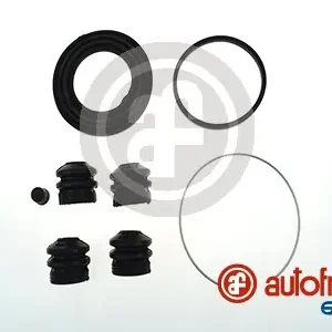 Remklauw revisie Autofren Seinsa D4234 Shop Nu