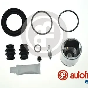 Veilige Betaling Remklauw revisie Autofren Seinsa D42422C