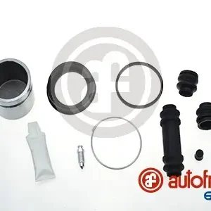 Gratis Verzending Remklauw revisie Autofren Seinsa D42428C