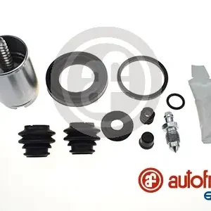 Professioneel Remklauw revisie Autofren Seinsa D42500K