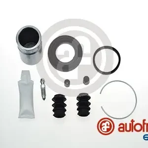 Limited Edition Remklauw revisie Autofren Seinsa D42523C