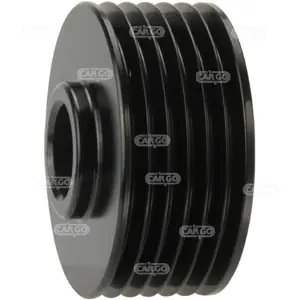 Beperkte Voorraad Dynamo poelie (Riemschijf) Hc-Cargo 233597