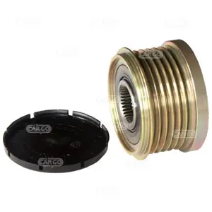 Alleen Vandaag Dynamo poelie (Riemschijf) Hc-Cargo 234794