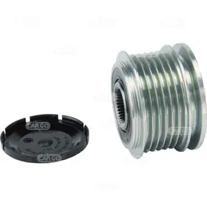 Wereldwijde Verzending Dynamo poelie (Riemschijf) Hc-Cargo 237610