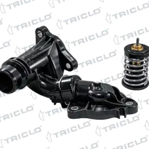 Origineel Thermostaat Triclo 462318